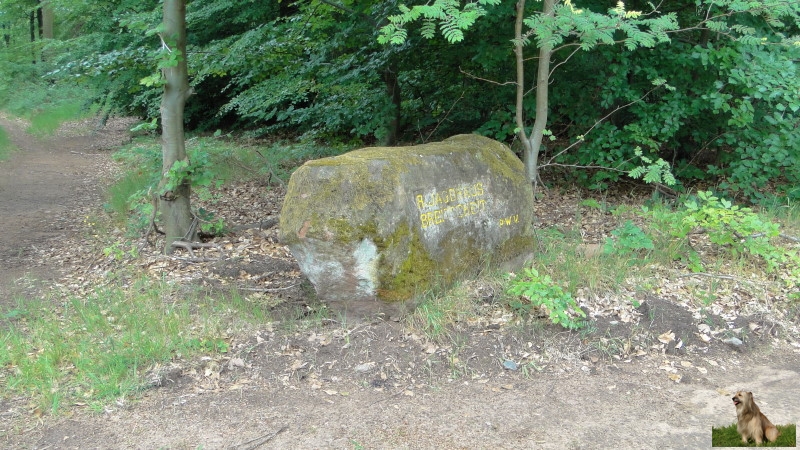 Ritterstein Nr. 120-3 R. Jagdhaus Breitscheit.JPG - Ritterstein Nr.120  R. Jagdhaus Breitscheit                               